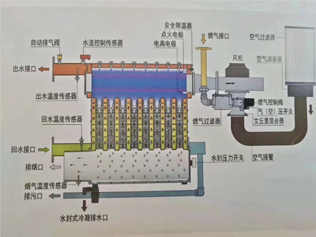 低氮冷凝硅铸铝合金燃气锅炉